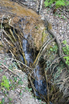 Falls on a mountain stream