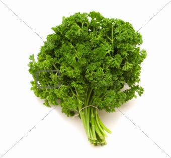parsley bunch on white background