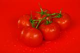 Tomatoes on red