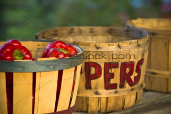 Bushel Basket Peppers