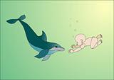 dolphin sails toward child