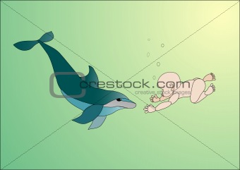 dolphin sails toward child