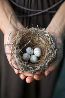hands holding nest with eggs