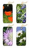Gift tags whis  flowers