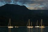 Sailboats in the Early Morning Light