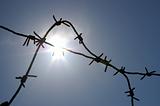 The Barbed wire and solar glare.