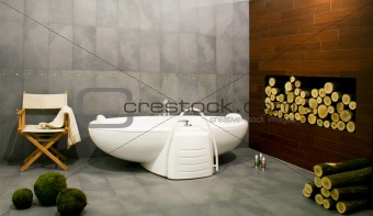 Bathroom with log