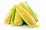 Corn ears on white background