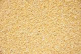 Hulled Pearl Millet Grain