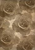  old papers texture, roses