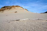 Provincetown Beach Dune, Cape Cod.