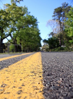 Yellow stripe macro on a Cape Cod country road