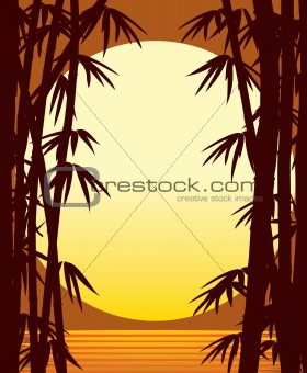 Bamboo sunset