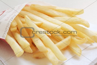 French Fries from a Fastfood Chain