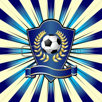 Soccer shield