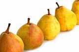 fresh pears row on white background