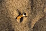 Cigarette butt in sand