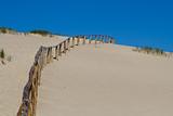 Fence in dunes
