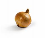 Isolated onion
