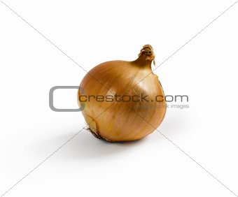 Isolated onion