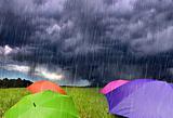 Color Umbrellas in Rainy Storm Clouds