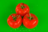 Three tomatoes on green