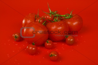 Tomatoes on red