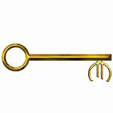 3D Golden Euro Currency Key