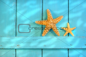 Starfish on an old rustic door
