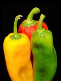 Colored peppers