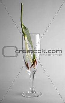 Glass with a flower