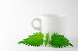 nettle leaf tea cup