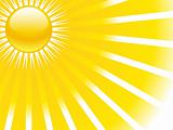 Sum sun rays vector background