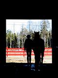 horse and rider exiting the barn in silhouette