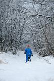 Snowshoeing on a Path