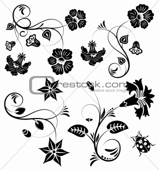 Collect flower border