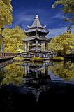 reflection of pagoda and tree in the theme parks