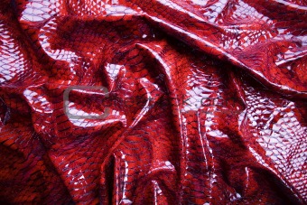 Snakeskin texture - leather background