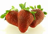 Close up shot of three ripe strawberry