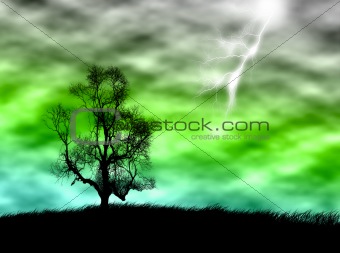 Tree in the storm