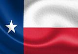 Texan flag 