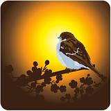 sparrow background