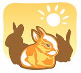 rabbit and sun