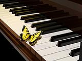 Piano and butterfly