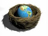 Earth in nest