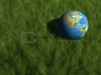 Earth globe in grass