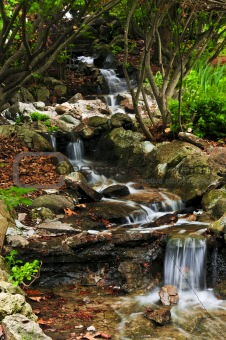 Creek with waterfalls
