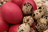 Red eggs