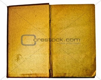 Blank and antique open book