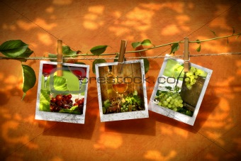 Pictures pinned on clothesline with reflection of summer leaves